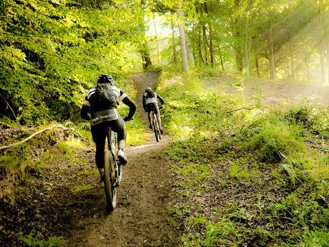 Camping l'Orée des Cévennes - Gard