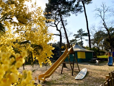 Nicoll's Camp/Pins - Gironde