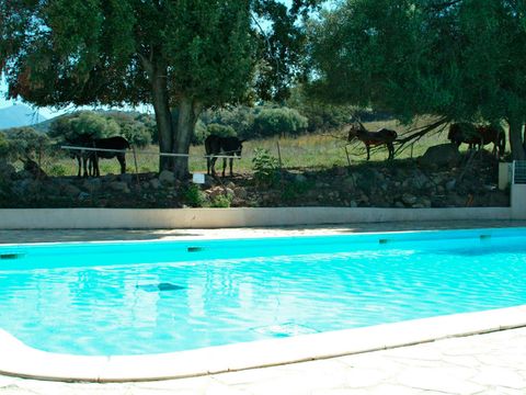 Camping U Sommalu - Camping Zuid-corsica