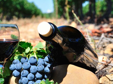 Camping Château de la Rolandière - Indre-et-Loire
