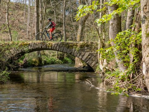 Camping La Colline - Belgisch-Luxemburg - Afbeelding N°18