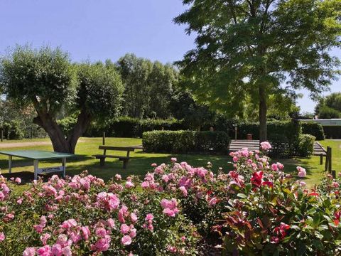Camping Les Résidences La Becque - Camping Noord