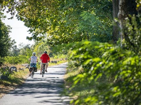 Camping Les Tamaris et Les Portes Du Soleil  - Hérault