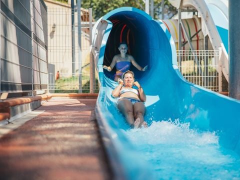 Camping Parc Bellevue Cannes - Alpes-Maritimes - Afbeelding N°3