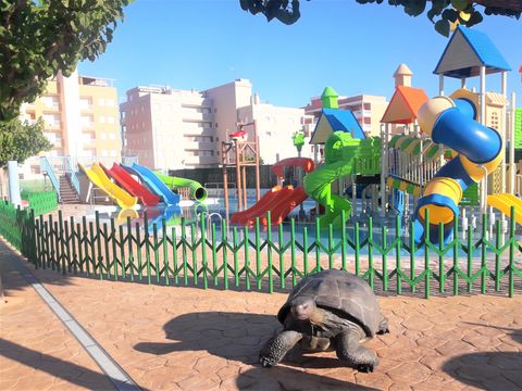Camping Monmar - Camping Castellón