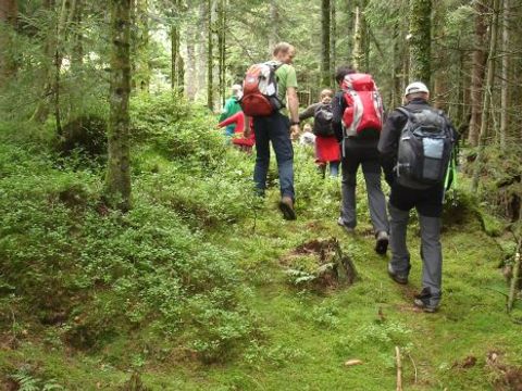 Camping Sites et Paysages - Au Clos de la Chaume - Vogezen