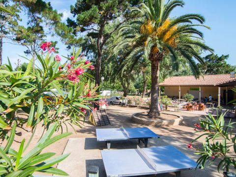 Camping L'Avena - Camping Zuid-corsica