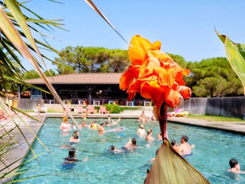 Camping Ras L'Bol - Camping Zuid-corsica