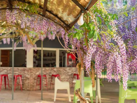 Camping U Casone - Noord-corsica
