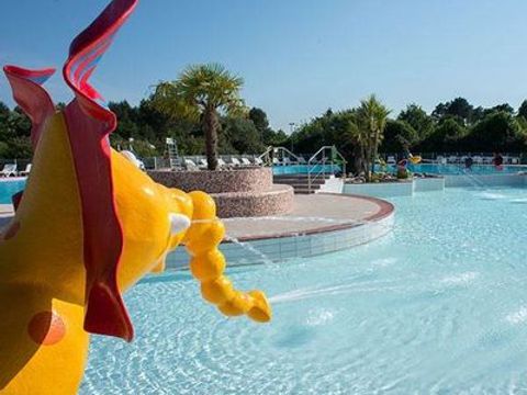 Tour Opérateur et particuliers sur camping La Réserve - Funpass non inclus - Camping Landes - Afbeelding N°5