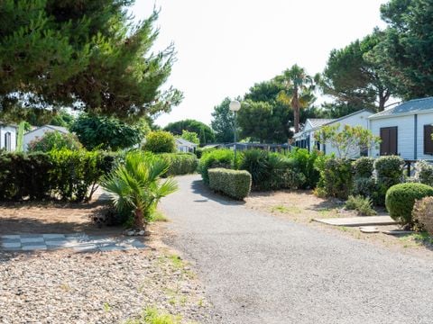 Domaine Les Mûriers - Camping Hérault - Afbeelding N°5