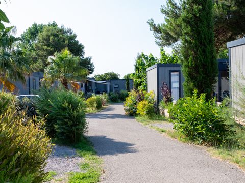 Domaine Les Mûriers - Camping Hérault - Afbeelding N°3