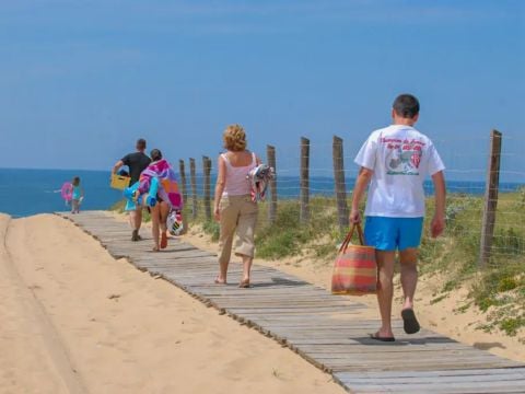 Camping Paradis - Albret - Landes - Afbeelding N°3
