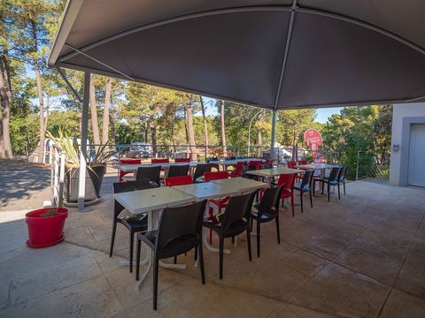 Camping La Pinède en Provence - Vaucluse