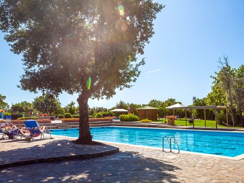 hu Montescudaio village - Camping Pisa