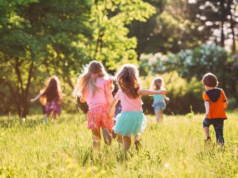 Les Chalets de la Noyeraie - Dordogne