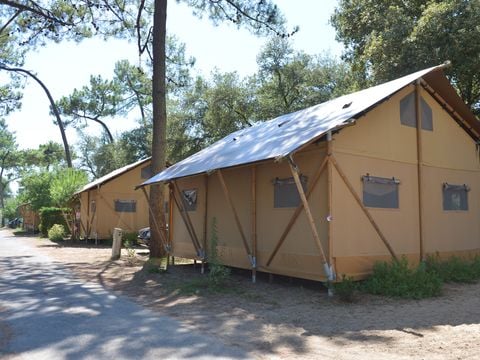 Camping Les Pins d'Oléron  - Charente-Maritime - Afbeelding N°3