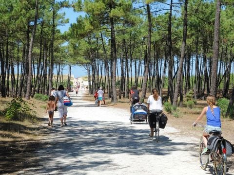 Camping Les Gros Joncs - Charente-Maritime