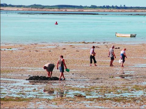Camping La Falaise - Loire-Atlantique