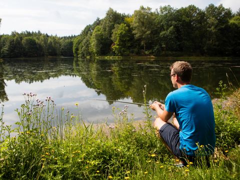 Camping Domaine des Messires - Vogezen