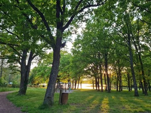 Camping La Tour Du Stock - Moselle - Afbeelding N°5