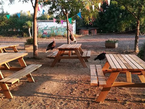 Camping Ecocamp Vinyols - Camping Tarragona - Afbeelding N°3