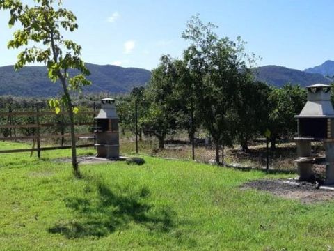 Camping La Naranja - Valencia