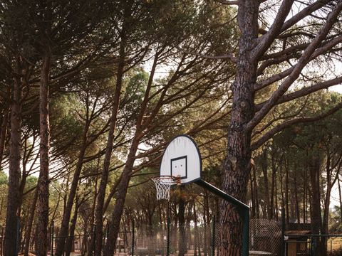 WeCamp Cala Montgo - Girona