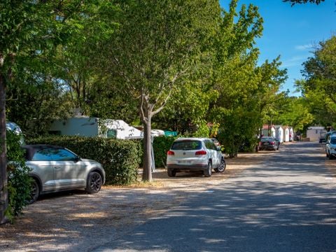 Camping La Pinède - Alpes-de-Haute-Provence - Afbeelding N°4