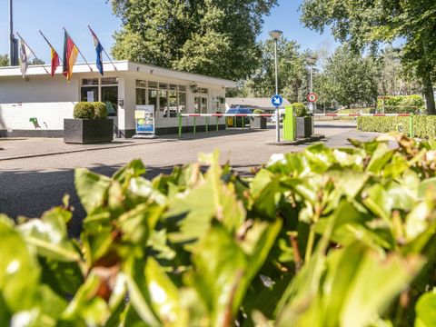 Vakantiepark de Bergen - Sint Anthonis - Afbeelding N°30