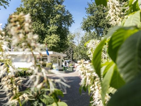 Vakantiepark de Bergen - Camping Sint Anthonis - Afbeelding N°4