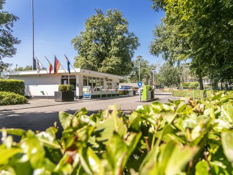 Vakantiepark de Bergen - Sint Anthonis - Afbeelding N°31