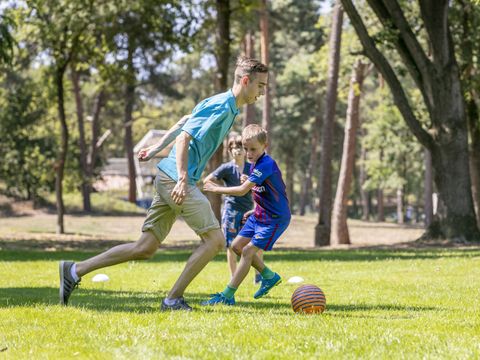 Vakantiepark de Bergen - Sint Anthonis - Afbeelding N°52