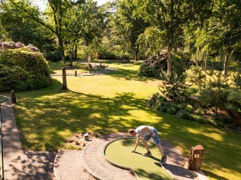 Vakantiepark de Bergen - Sint Anthonis - Afbeelding N°89