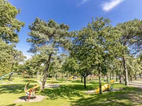 Vakantiepark de Bergen - Sint Anthonis - Afbeelding N°20