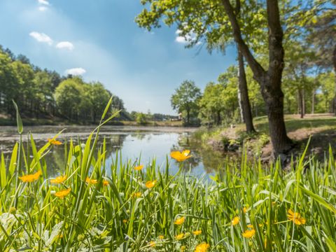Vakantiepark de Bergen - Sint Anthonis - Afbeelding N°49