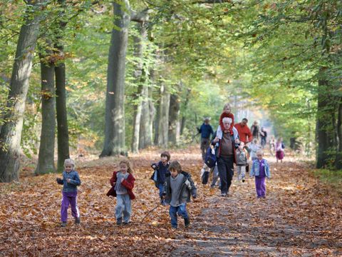 Village vacances Recreatielandgoed De IJsvogel - Barneveld