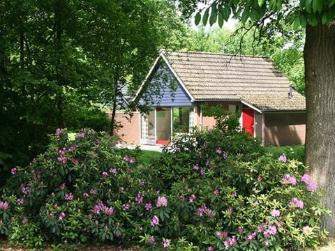 Vakantiepark Sallandshoeve - Camping Raalte - Afbeelding N°4
