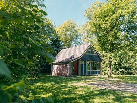 Vakantiepark Sallandshoeve - Camping Raalte - Afbeelding N°0