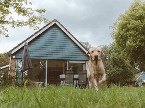 Vakantiepark Sallandshoeve - Raalte