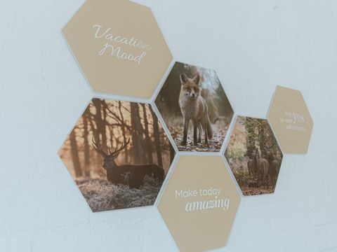 Vakantiepark Sallandshoeve - Raalte - Afbeelding N°5