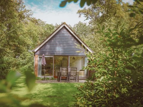 Vakantiepark Sallandshoeve - Raalte - Afbeelding N°0