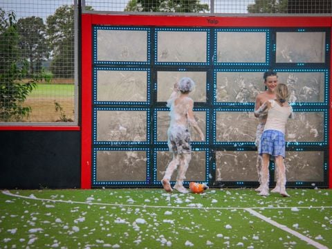 Vakantiepark Sallandshoeve - Camping Raalte - Afbeelding N°4