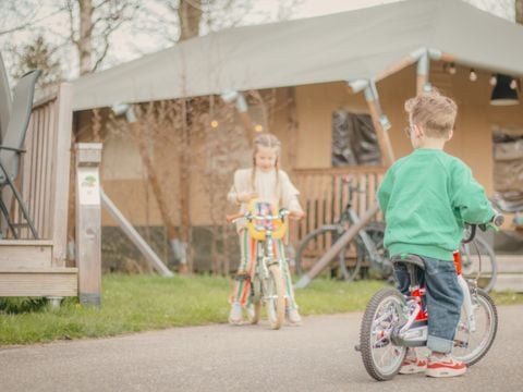Vakantiepark Sallandshoeve - Camping Raalte - Afbeelding N°0