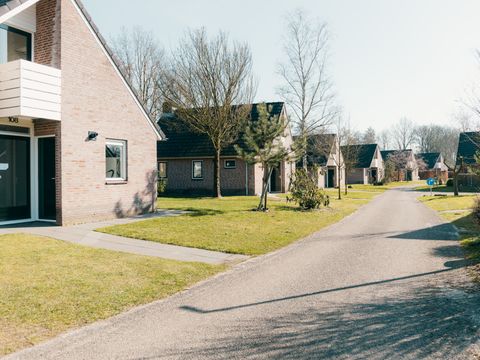 Vakantiepark Sallandshoeve - Raalte - Afbeelding N°13