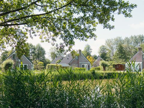 Vakantiepark Sallandshoeve - Raalte - Afbeelding N°14