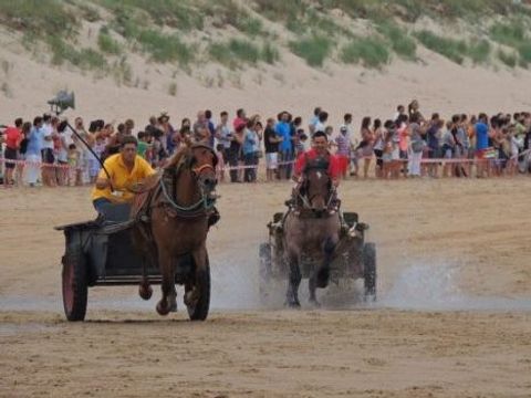 Camping Derby Loredo - Cantabrië