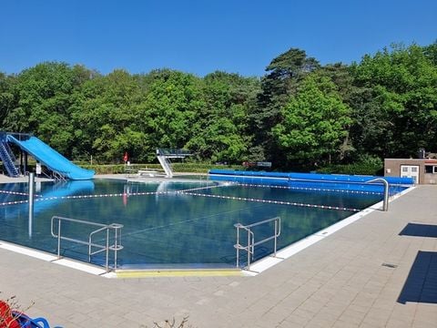 Vakantiepark het Timmerholt  - Midden-Drenthe - Afbeelding N°2