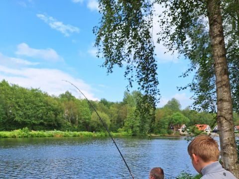 Vakantiepark het Timmerholt  - Midden-Drenthe - Afbeelding N°4