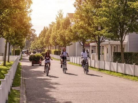 Summio Parc Aquadelta - Schouwen-Duiveland